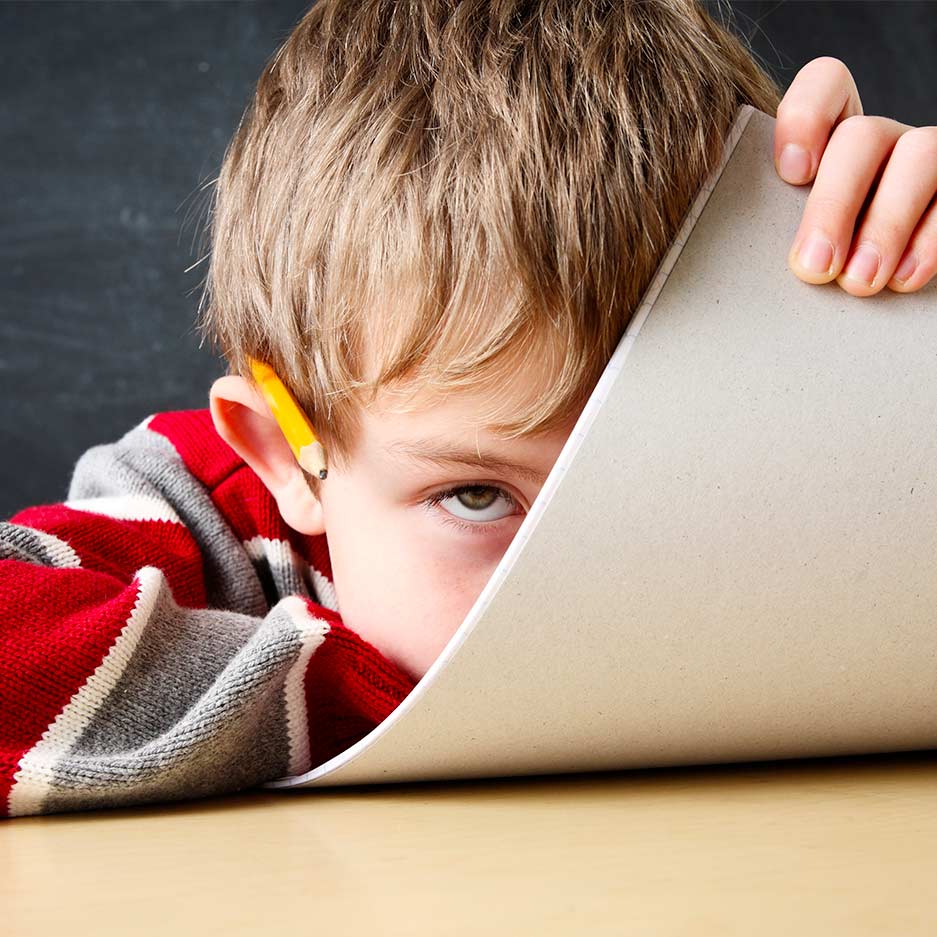 Psychoeducational Assessment